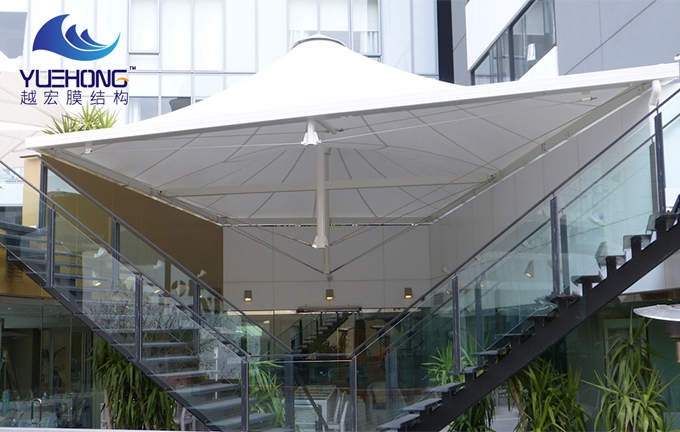 �̈��ȵ�Ĥ�Y�������